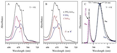 High-Resolution Frequency-Domain Spectroscopic and Modeling Studies of ...