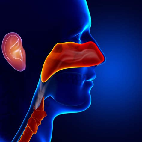 Best ENT Doctors in Vijayawada | ENT Hospital | ENT Centers