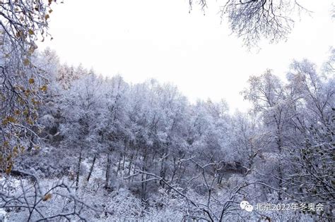 看雪啦！北京冬奥会张家口赛区、延庆赛区迎来2017年秋季首场降雪