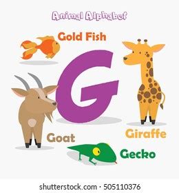 Image result for Evolution Examples