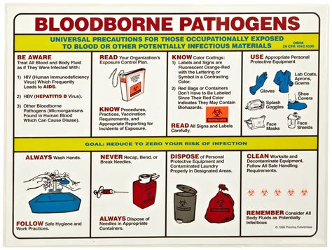 Printable Bloodborne Pathogens Poster - Printable Word Searches