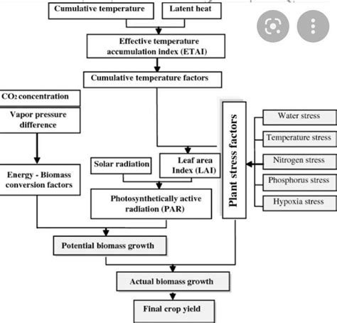 09. Draw the flow chart of activities related to improving crop yield ...