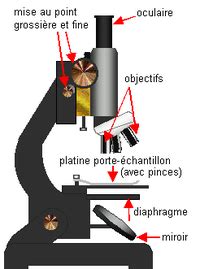 Image result for Calculus Year 12 Math Methods