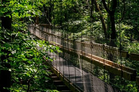 Become part of the sky on a 65-foot-high canopy walk in Michigan’s ...