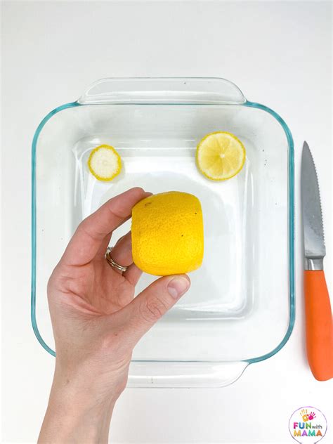 Volcano Lesson Science for Kids 的图像结果