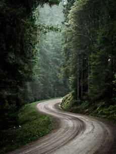Nature Photo by I Started Photographing Swedish Nature As A Therapy After Nature Photo