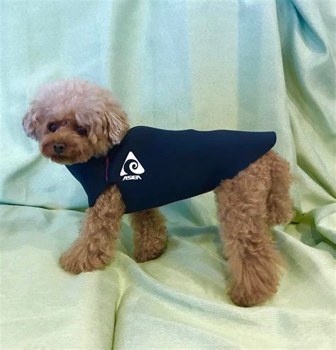 ドッグウェットスーツ TSW-01 1号サイズ着用感 | cfr outdoor