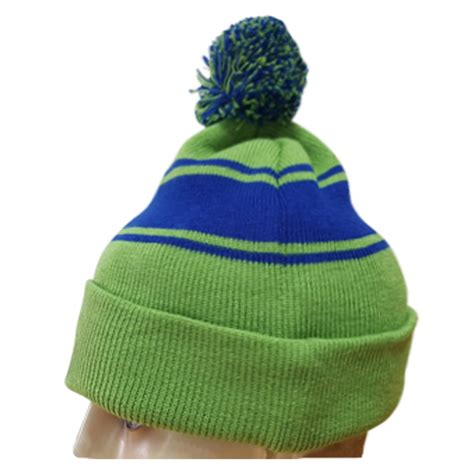 Install Beanie Python 的图像结果