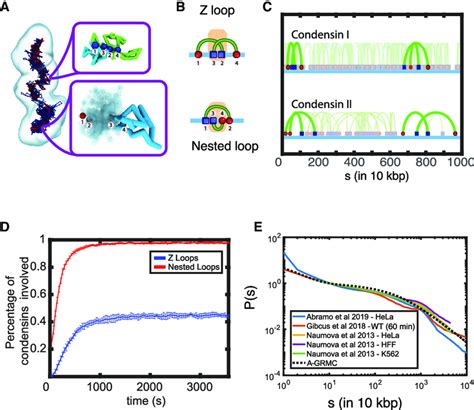 Image result for Different Pattern Generation Using Loop