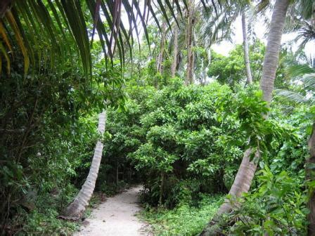 Middle Andaman Forest Department