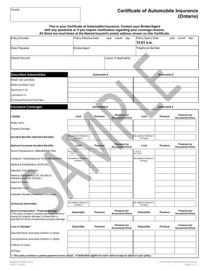 Informal Report Sample 的图像结果