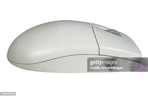 Image result for Computer Mouse Side View