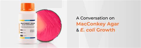A Conversation on MacConkey Agar and E. coli Growth - TM Media