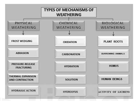 Concept Map of Exogenic Process 的图像结果