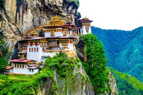 Image result for Bhutan Python Coders