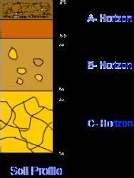 NCERT Solutions for Class 7 Science - Soil