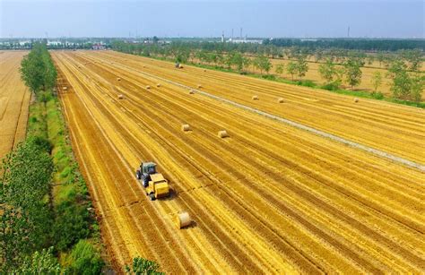 中国农业现代化：除了技术升级之外，还有人和认知的升级__财经头条