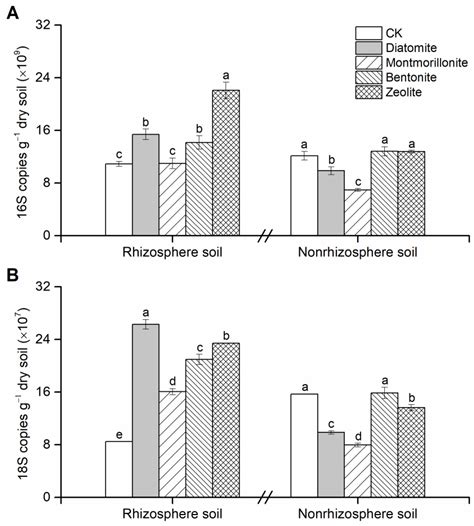 Porous Minerals Improve Wheat Shoot Growth and Grain Yield through ...