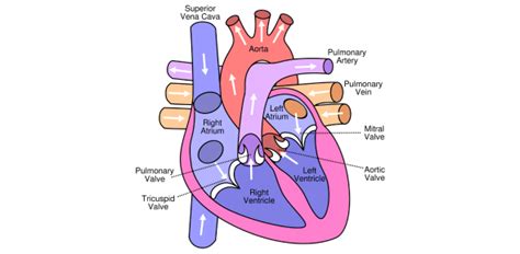 Image result for Boolean Computer Science Definition