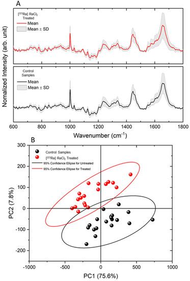 Ultrastructural Analysis of Cancer Cells Treated with the ...