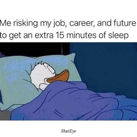 30+ Best Funny Sleep Quotes & Memes When You Can't Sleep