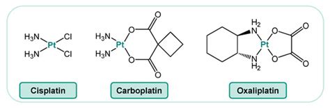 Role of Epigenetics for the Efficacy of Cisplatin