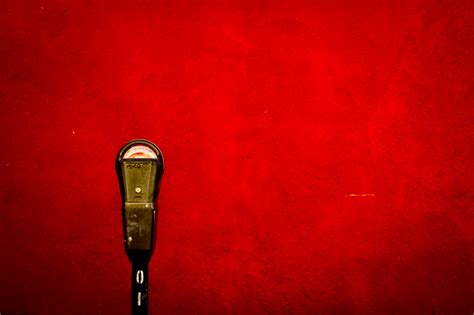 Image result for Shutterbug Time Oso