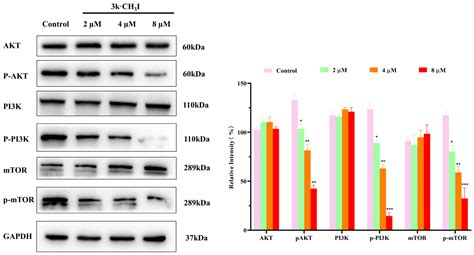 Lupeol-3-carbamate Derivatives: Synthesis and Biological Evaluation as ...