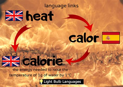 Spanish Language Links