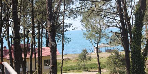 Shekvetili Tourism (2023): Best of Shekvetili, Georgia - Tripadvisor