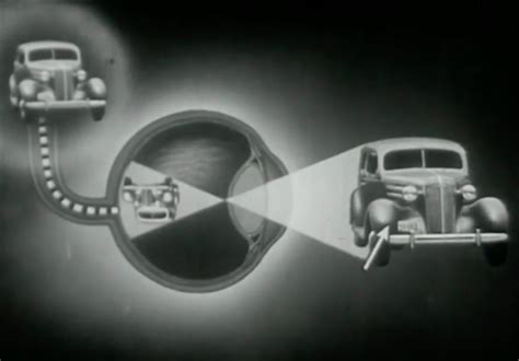 Persistent Vision Animation 的图像结果