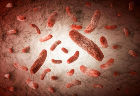 Bacteria 3d render | Premium Photo