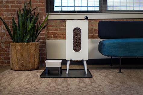 Understanding the Average Weight of a German Shepherd Dog: A ...