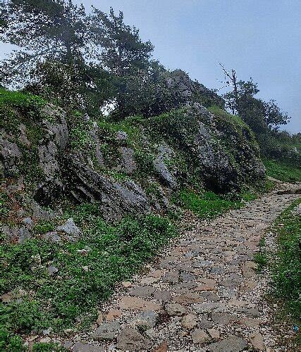 GEORGE EVEREST'S HOUSE (2026) All You SHOULD Know Before Going (with ...