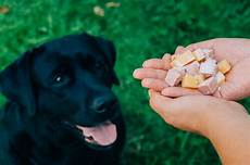 alimenti provocano coliche ai neonati cosa provoca la flatulenza nei cani i miei animali alimenti provocano coliche ai neonati cosa provoca la flatulenza nei cani i miei animali