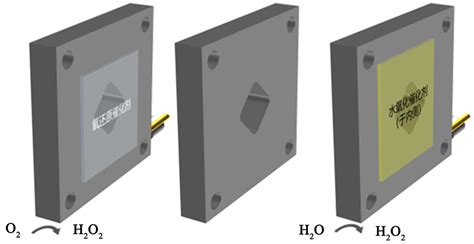 H2O2 Reactor 的图像结果