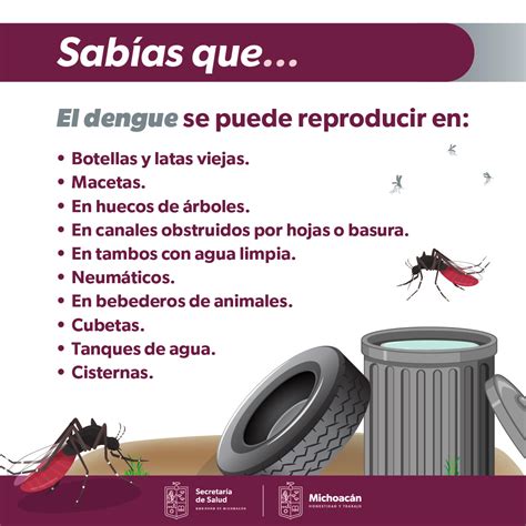 Cuándo terminaría el brote de dengue y qué factores influyen según los ...