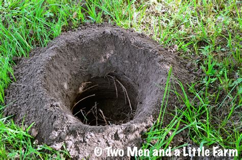 Two Men and a Little Farm: DIGGING HOLES IN CLAY SOIL