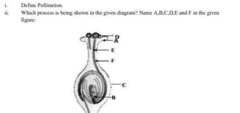 Which process is being shown in the given diagram? Name the parts A, B ...