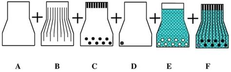 A Disposable Sensor For Assessing Artocarpus heterophyllus L ...