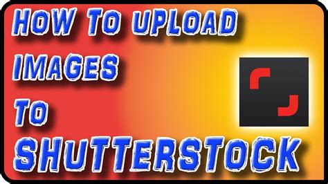 Shutterstock Tutorial 的图像结果