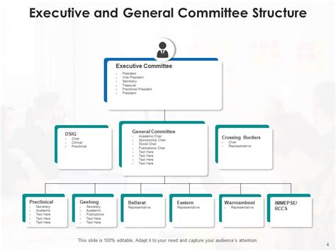 Committee Structure Examples 的图像结果