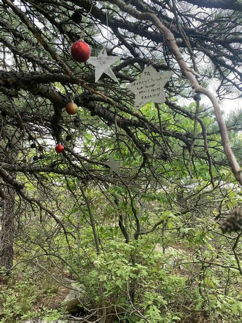 Fishkill Ridge Loop via Overlook and Fishkill Ridge Trail - New York ...