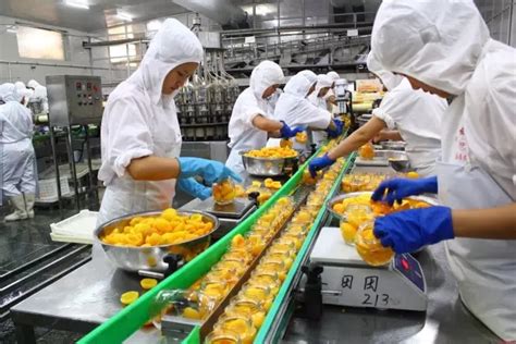 果蔬加工设备行业新闻-上海果丰机械设备有限公司