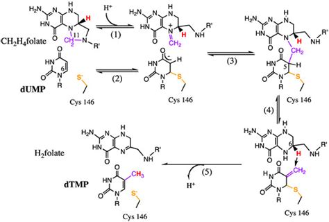 Molecules | Topical Collection : Isotope Effects