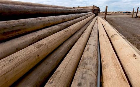 Wood Structures Design 的图像结果