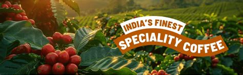 Toffee Coffee Roasters | Mullayangiri Estate Coffee - 250 gms | Freshly ...