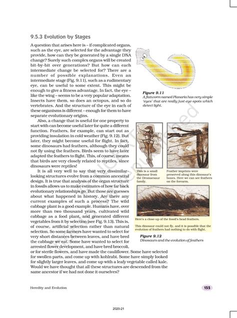 Heredity And Evolution - NCERT Book of Class 10 Science