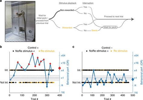 Image result for Bird Training Discrimination Task
