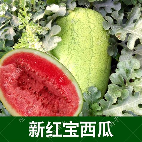 优质西瓜品种有,最容易种植的西瓜品种,西瓜种类大全介绍_大山谷图库